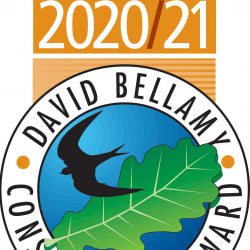 2020-21-gold