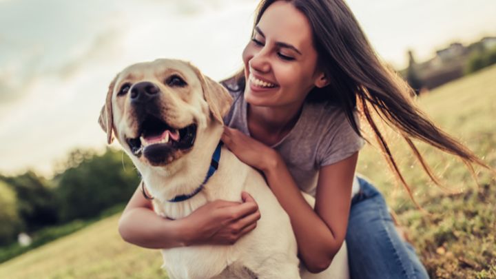 dog-friendly
