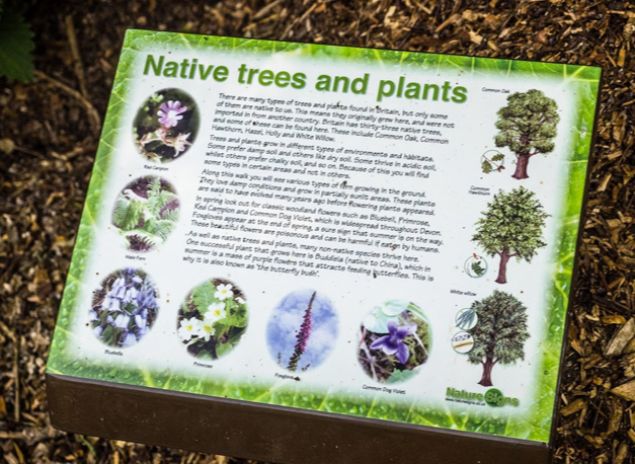 native-trees
